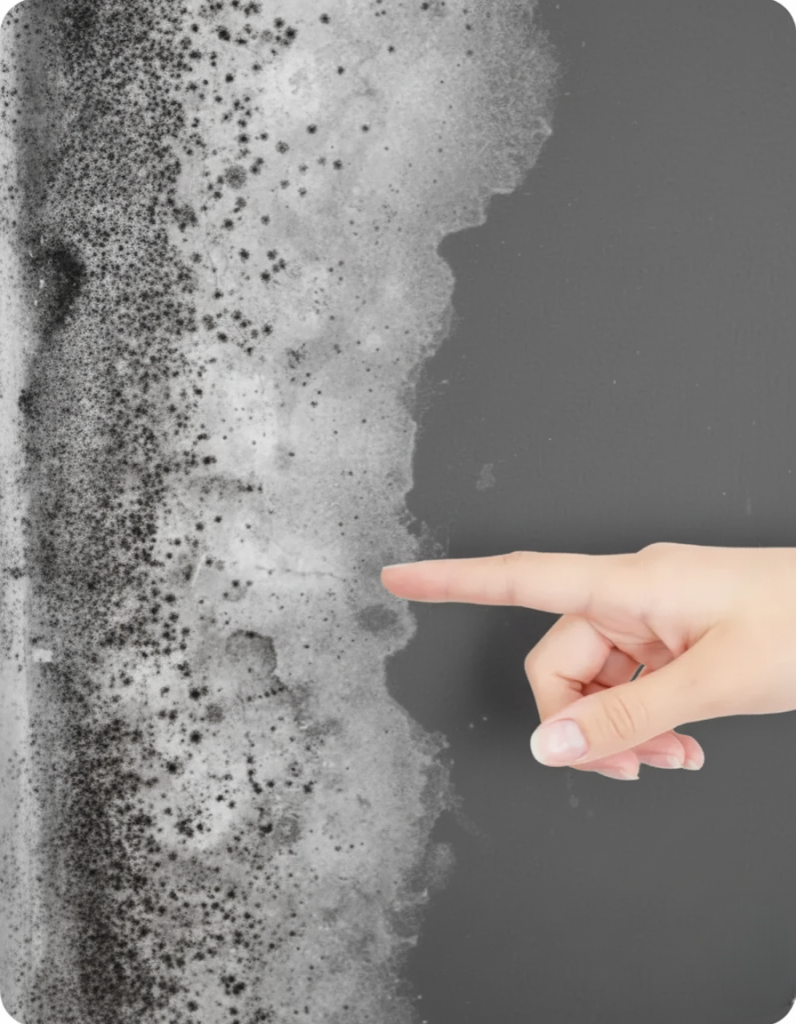 Solución de Humedades en Segorbe