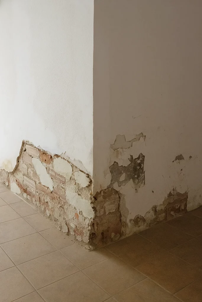 Tratamiento Humedades Silla