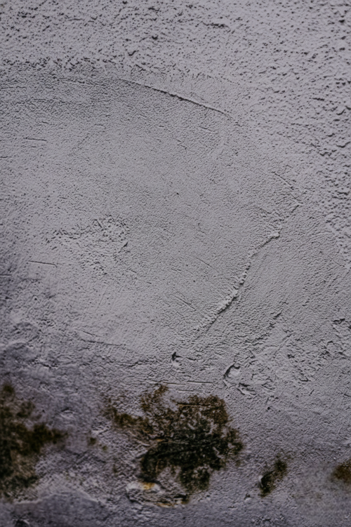 Solución de Humedades en Almenara