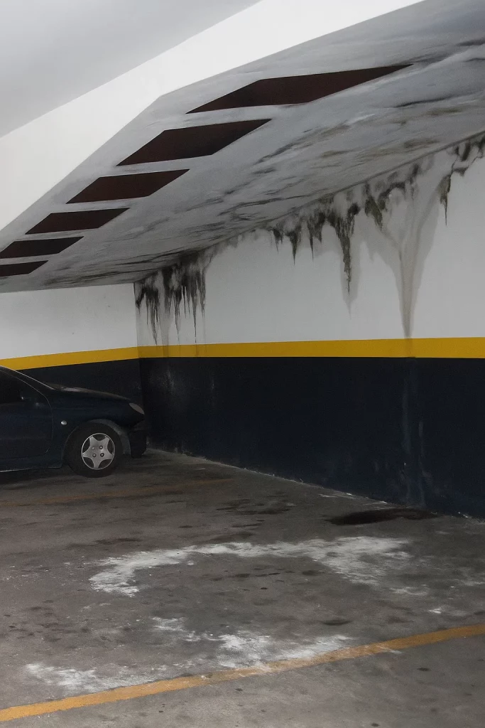 Empresa de humedades en Massanassa